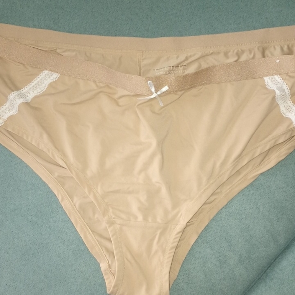 Panties Cacique 26/28 4X Cheeky Set of 3 Lace Sheer Mesh Sexy Panty Lane Bryant - Picture 2 of 5